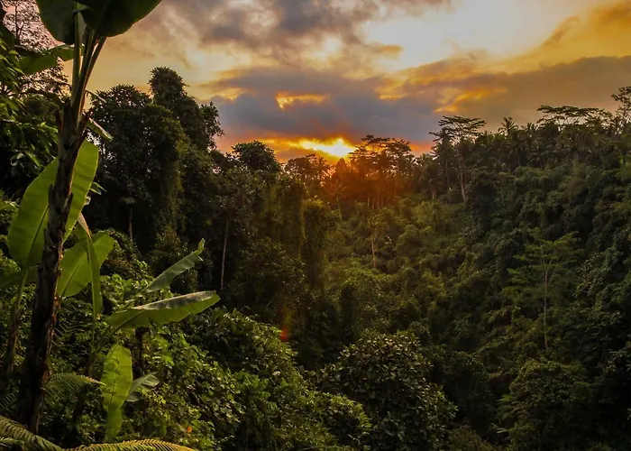 Kalisat 4* Ubud